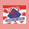 Rádio Cidade das Águas FM 101.3