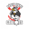 Rádio Livre Gaviões