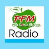 94PFM