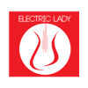 Eletric Lady
