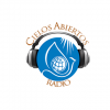 Radio Cielos Abiertos