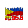 DWDM-FM Pinas FM 95.5