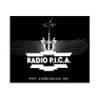 Radio Pica 96.6
