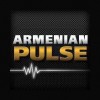 Armenian Pulse
