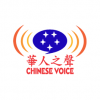 Chinese Voice