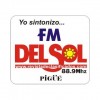 FM DEL SOL 88.9 - PIGUE