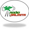 Palmita tv radio