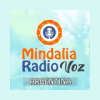 Mindalia Voz Argentina