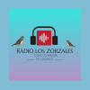 Radio Los Zorzales