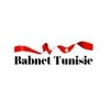 Babnet Tunisie (باب نت )