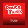 #Musik.Study by rm.fm