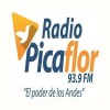 Radio Picaflor 96.3 FM