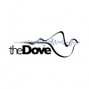 KDOV The Dove