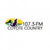 WLNB-LP 107.3 Coyote Country