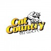 WLST Cat Country 95.1 FM
