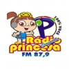 Radio Princesa do Brejo FM
