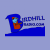 Birdhill Radio
