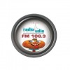 Radio Audio 106.3