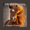 GRI BIG Country