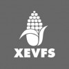 XEVFS - La Voz de la Frontera Sur