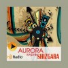 Radio Aurora - Shizgara