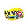 Radio Valle FM