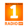 SRF 1 Bern Freibourg Wallis