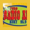 KUKY Radio Amigo 95.9 FM