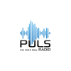 Puls Radio - Negotino