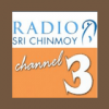 Sri Chinmoy 3