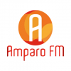 Amparo FM 98.1