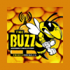 Assiniboia's Rock Station, The Buzz