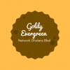 GOLDY Evergreen