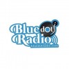 Blue Dot Radio