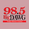 WDWG 98.5 FM