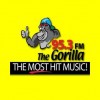 WZNF Gorilla 95.3 FM