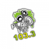PLAY FM 103.3
