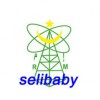 Radio Selibaby (إذاعة سيليبابي)