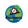 Radio Guiniguada Canal 2 Internacional