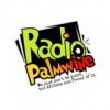 Radio Palmwine - Igbo Radio