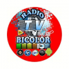 Radio TV Bicolor