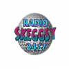 Radio Skeggsy