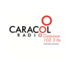 CARACOL GUAVIARE 102.3 FM