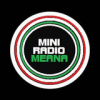 Mini Radio Meana