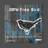 .113FM Free Bird