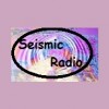 Seismic Radio - Deutsch