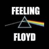 Feeling Floyd