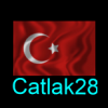 Catlak28