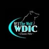 WDIC-FM 92.1 The Wolf