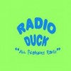 Radio Duck